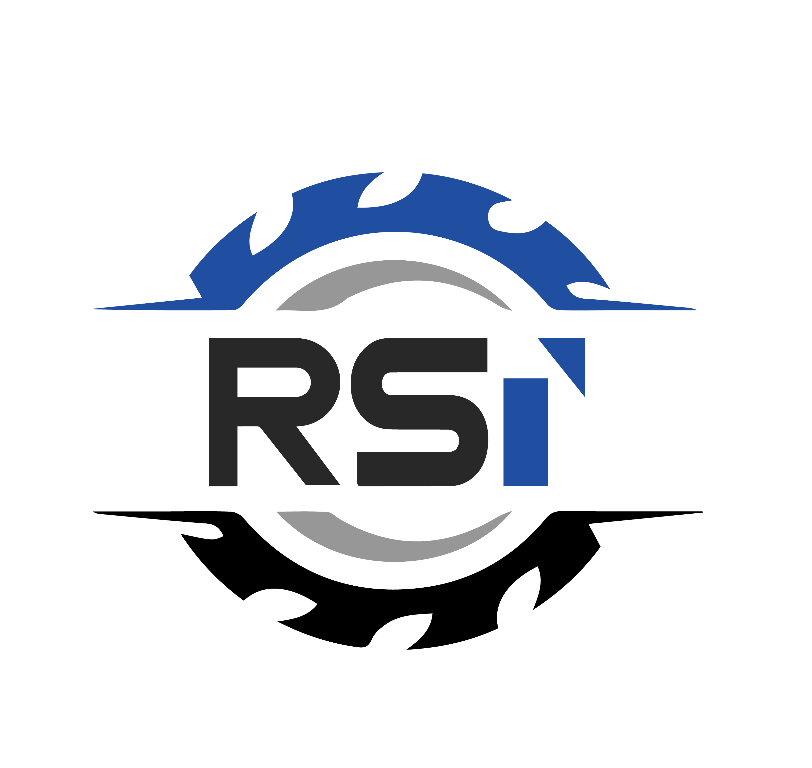 Qingdao Ruishitong Industrial Technology Co., Ltd. logo