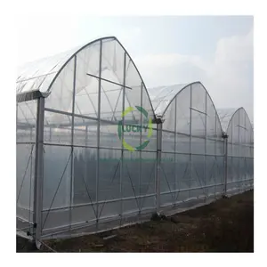 China Supplier Commercial Greenhouse Usado para Venda Estufas para Agricultura