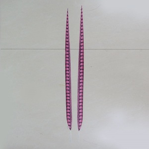 Vàng Plumas Dài Đuôi Nhân Tạo Ngựa Vằn Lady Amherst Gà lôi Lông Cho Đảng Lễ Hội Nhà Kỳ Nghỉ Trang Trí Nội Thất Tự Làm Thủ Công Trang Phục - Product Image 6