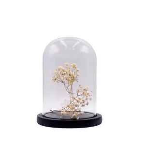 Manufacturer premium geodesic dome glass clear glass dome preserved flower cake stand with glass dome base