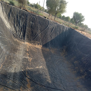 0.25mm 0.5mm 1.0mm 1.5mm 20mil/30mil /45mil/60mil/Dam Geomembrane HDPEポンドライナーインドネシア/シンガポール/フィリピン - Product Image 6