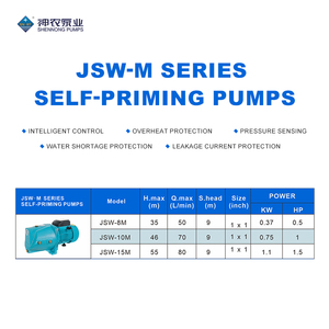 มอเตอร์ไฟฟ้าทองแดง SN <span class=keywords><strong>JSW</strong></span> M ซีรีส์ 1.5 แรงม้า 1.1 กิโลวัตต์ พร้อมปั๊มเหล็กหล่อแบบดูดน้ำเองได้ สำหรับใช้ในครัวเรือน แรงดันสูง - Product Image 3