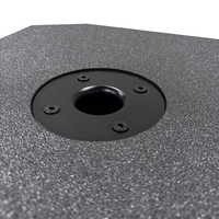 Thinuna T-12B-DPA Subwoofer Attivo Professionale da 12 Pollici, 550W, Altoparlante per Bassi ad Alta Potenza per Concerti e Club Indoor