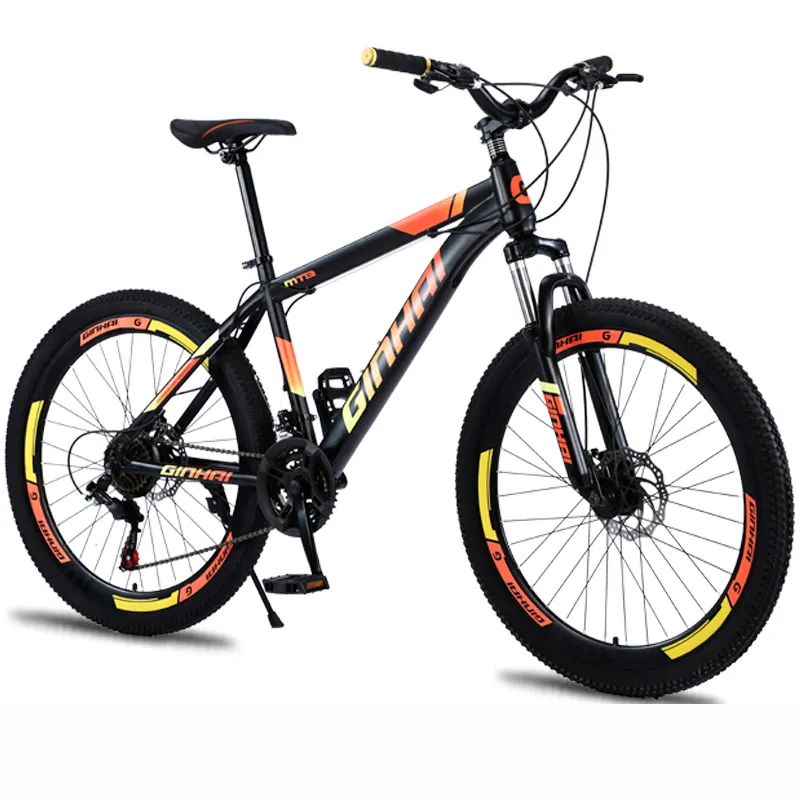 2021 China manufacturer customized cheap adult mountain bike bicycle
