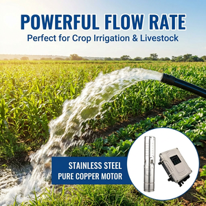 <span class=keywords><strong>Pompe</strong></span> à eau <span class=keywords><strong>solaire</strong></span> submersible 500 w 48v dc, système de <span class=keywords><strong>pompe</strong></span> à eau <span class=keywords><strong>solaire</strong></span>, pour moto et <span class=keywords><strong>étang</strong></span>, meilleur prix - Product Image 3