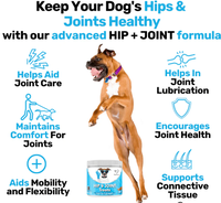 Private Label Supplément de friandises pour hanches et articulations pour chiens et chats avec glucosamine et MSM