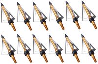 PG1ARCHERY Lot de 12 têtes larges de chasse à l'arc à lame fixe 100 Grain avec étui tête de flèche pointes à visser arbalète dorée