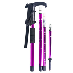 Bâton De Marche Télescopique Pliable + étui - Randonnée, Trekking, Nordique