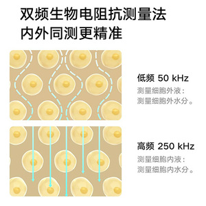 Báscula de Grasa Corporal Mijia S400 Pro con Pantalla LED Cuadrada, Batería Integrada, Báscula Inteligente para Pérdida de Peso - Product Image 4