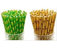 Pailles à boire en papier imprimé de bambou biodégradable Offre Spéciale pour jus de fruits, Shakes, anniversaires, fêtes de mariage