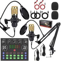 Ensemble de carte son et microphones 2mic, kit d'équipement de podcast avec micro à condensateur BM800, tout-en-un