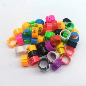 Open Kleurrijke Vogel Voet <span class=keywords><strong>Ring</strong></span> 8Mm <span class=keywords><strong>Plastic</strong></span> Homing Duif Identificatie Ringen Kleurrijke Open Vogel Benodigdheden - Product Image 2