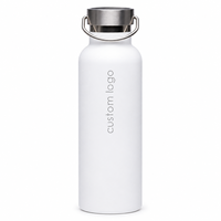 Bouteille d'eau isotherme à double paroi en acier inoxydable 304 de 17 oz avec logo personnalisé, couvercle à poignée, maintien thermique 12-24h, cadeaux d'affaires