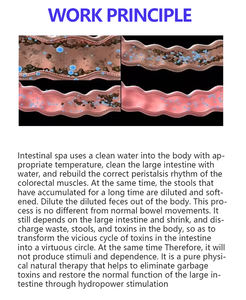 Equipo de Hidroterapia para Limpieza de Colon y Belleza, Diseño Inteligente, Material ABS, Color Morado, Enchufe Europeo, Novedad 2026 - Product Image 3