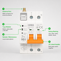 Disjoncteur intelligent WiFi LVMA RCBO 2P C63 30mA Protection contre les fuites 6kA 220V Tuya Montage sur rail Télécommande Cuivre PA66