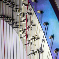 Harpe à pédales NAOMI Bow Brand 47 cordes, kit de remplacement complet G0-C7, chariot extensible pour orchestre, concert, scène