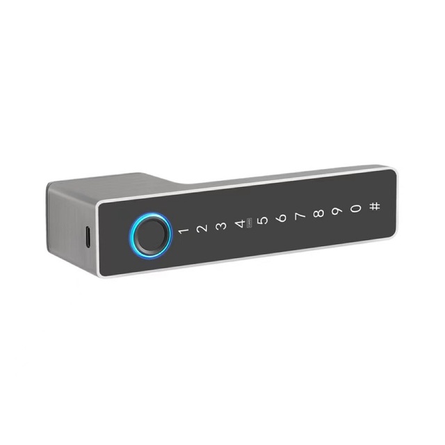Electric Handle Smart Door Lock Inteligente Digital Lock