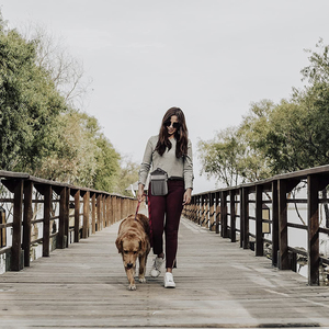 Bolsa de regalo para perros, bolsa de entrenamiento para mascotas con bolsillo de almacenamiento Exterior, juguetes de Snacks - Product Image 6
