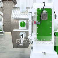 Machine à fabriquer des granulés de coques de sarrasin RICHI - Fabricants de machines à granulés de bois biomasse entièrement automatiques en Inde
