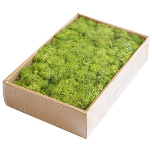 Panneau mural en mousse de renne stabilisée naturelle, véritable, douce, colorée et préservée, personnalisable - Product Image 5