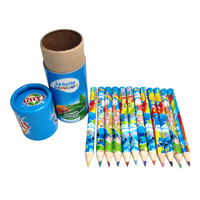 Fabricant professionnel de mini crayons de couleur, boîte en tube, ensemble de dessin artistique, 12 crayons de couleur, crayon en bois personnalisé, 6 couleurs