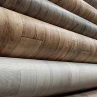 Revêtement de sol en vinyle PVC homogène, classe d'incendie B1, antidérapant, imperméable, en feuille plastique, pour hôpital, école