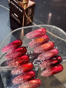Vernis à ongles en gel de haute qualité 12ml Gel UV Ensemble complet 16 couleurs rouges Vernis à ongles en gel pour les yeux de chat Marque privée Professionnel pour l'art des ongles - Product Image 5