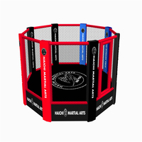Cage de MMA surélevée de type gonflable, cage de MMA octogonale UFC, taille 6m x 6m, cage de MMA octogonale avec design personnalisé, ventes chaudes personnalisées
