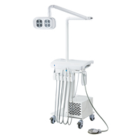 Mobiles Zahnbehandlungsgerät für Haustiere mit Eingebautem Kompressor, LED-Licht und Ultraschall-Scaler für Veterinärmedizin, Hunde und Katzen