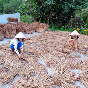 Hyacinthe d'eau séchée pour la fabrication artisanale - Product Image 1