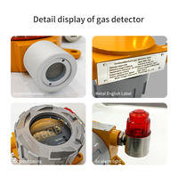 Détecteur de gaz CE ATEX H2S, détecteur de gaz toxique et combustible, détecteur de gaz fixe, alarme sonore et lumineuse applicable aux situations dangereuses