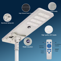 Lampe solaire tout-en-un intégrée et projecteur solaire en aluminium pour éclairage extérieur avec capteur