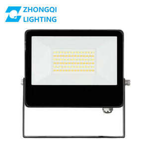 Dış aydınlatma için 50W korozyon önleyici IP65 su geçirmez yüksek direk LED projektör 3G/5G titreşim - Product Image 5