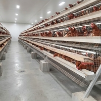 BANGYUAN Nuevo Jaula Automática Tipo A para Baterías de Gallinas Ponedoras, Modelo A-740 Galvanizado en Caliente para Granjas Avícolas, Alta Rentabilidad