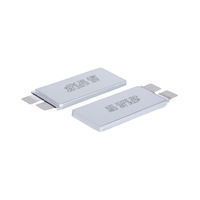 Batterie semi-solide au lithium cobalt oxyde 3,6 V 31000 mAh 3C 361 g -40°C basse température, modèle 9587187 pour l'électronique grand public