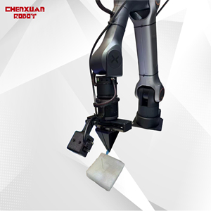 Nhà cung cấp Trung Quốc Độ chính xác cao 3D tầm nhìn hợp tác cánh tay <span class=keywords><strong>robot</strong></span> cho linh hoạt sản xuất R & D và tự động hóa công nghiệp - Product Image 6
