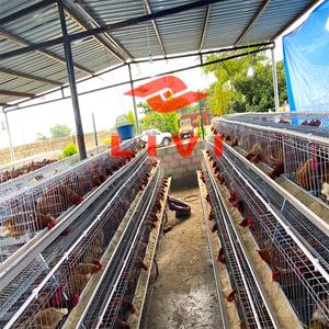 Suibian — <span class=keywords><strong>cage</strong></span> de volaille à raboteuse Semi-automatique, équipement pour élevage de volaille, vente de volaille, 5000 / 10000 - Product Image 4