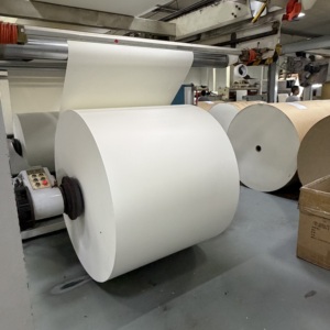 Rouleau de papier blanc enduit de PE, simple et double face, résistant à l'huile, rouleau jumbo, largeur personnalisée pour usine de boissons chaudes et froides - Product Image 1