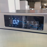 Aumesch Mini congélateur à congélation rapide de petite taille Équipement de réfrigération à dégivrage automatique moins 35 °C pour crème glacée Gelato