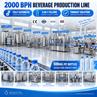 Ligne de production automatique de boissons 2000BPH avec machine de remplissage, de bouchage et d'emballage de bouteilles PET 3-en-1
