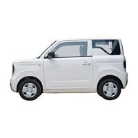 Mobil Mini Geely Panda 2024 Terbaru, Penggerak Roda Belakang, Mini Hatchback Listrik, Kendaraan Energi Baru dengan Kemudi Kiri EV