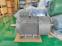Moteur électrique étanche Wolong à double arbre 380V/440V B3 AC triphasé, efficacité IE3, 50/60Hz, 100kW 2HP