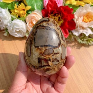 Wholesale Crystal Crafts Palm Raw Stone Polishing <strong>Septarian</strong> <strong>Nodule</strong> Palm Septarium Egg for Gift for Feng Shui