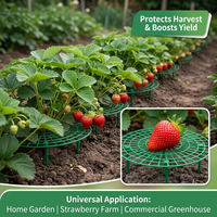 Support de fleurs pour fraises et tournesols, pilier de jardinage anti-moisissure pour plantes grimpantes – Vente directe usine, sélection rigoureuse