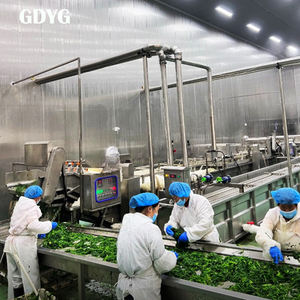 Vegetales Congelados de Primera Calidad para Comidas Saludables, en Diversos Tamaños/Venta al por Menor/Vegetales Asados Congelados IQF, Puré de Verduras Congelado - Product Image 4