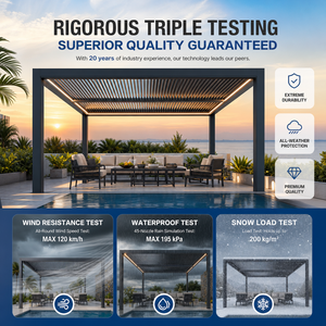 Techo Retráctil para Balcón, Sistema de Techo Retráctil de Alta Calidad, Pérgola <span class=keywords><strong>Leroy</strong></span> <span class=keywords><strong>Merlin</strong></span>, Toldo para Terraza - Product Image 6