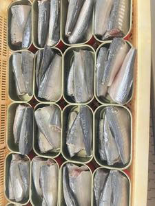 <span class=keywords><strong>Sardinas</strong></span> Enlatadas en Aceite Vegetal 125G Estilo Marroquí <span class=keywords><strong>Sardinas</strong></span> <span class=keywords><strong>Picantes</strong></span> Enlatadas - Product Image 3