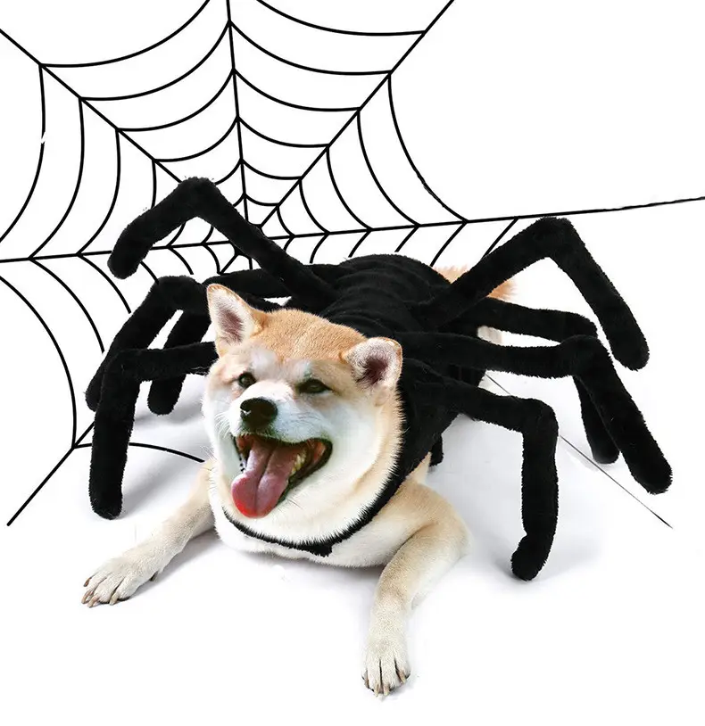 Déguisement d'halloween pour chien, tenue fantaisie Cosplay, longue, Spider, vêtement chaud, adapté aux petits gabarits, chats, animaux de compagnie, fête d'halloween