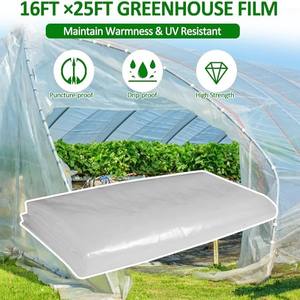 แผ่นสำหรับพื้นที่คลานฝาครอบพลาสติกสีเขียวสำหรับการเกษตรขนาด<span class=keywords><strong>8</strong></span>ล้าน32x100นิ้วฟิล์มใส UV 6โรงสี - Product Image 6