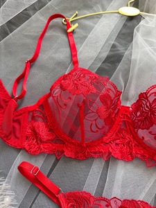 Nouvelle collection romantique pour la Saint-Valentin 2025 : Ensemble de lingerie sexy en dentelle transparente brodée de fleurs pour femmes - Product Image 3